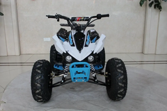 TrailMaster Mid 125R Sport (8") K125 ATV 4-Wheeler