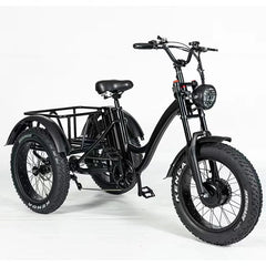 Soversky 750W Electric Cargo Trike