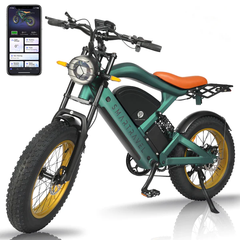 SMARTRAVEL GPS Electric Bike with Real-time Positioning and App Control 1200W/48V/20Ah