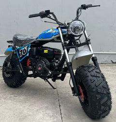 Trailmaster Hurricane 200 Pro Gas Mini Bike