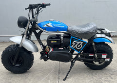 Trailmaster Hurricane 200 Pro Gas Mini Bike