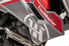 Trailmaster MX250 Dirt Bike JHL Pro-Series 223 cc 4-stroke