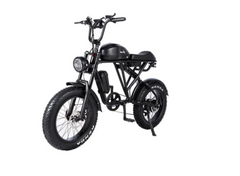 Soversky Titan 500 Electric Fat Tire Bike