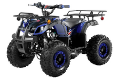 TrailMaster B125 125cc Kids Gas Utility ATV