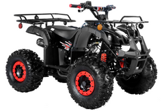 TrailMaster B125 125cc Kids Gas Utility ATV