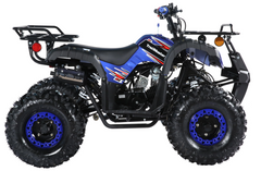 TrailMaster B125 125cc Kids Gas Utility ATV