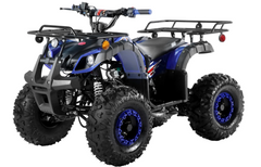 TrailMaster B125 125cc Kids Gas Utility ATV