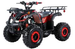 TrailMaster B125 125cc Kids Gas Utility ATV