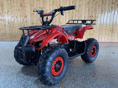 E-G 36V 500W Kids Electric ATV